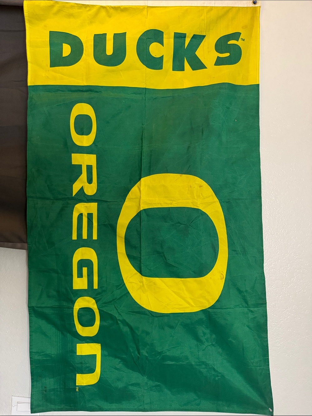 Source Unknown Ducks Oregon Green and Yellow Fan Flag